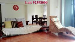 serangoon-avenue-1 photo thumbnail #6